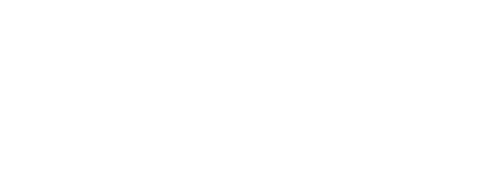 SEGATRICI A NASTRO